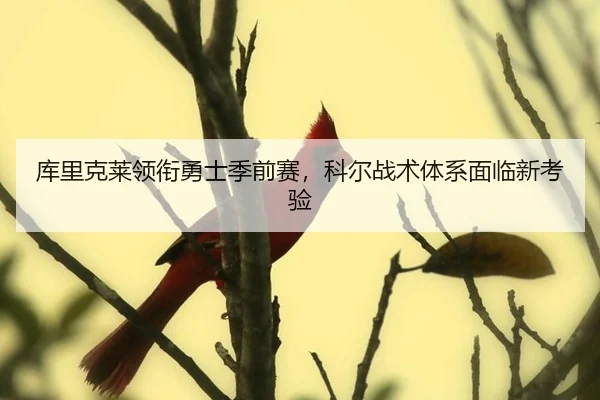 库里克莱领衔勇士季前赛，科尔战术体系面临新考验