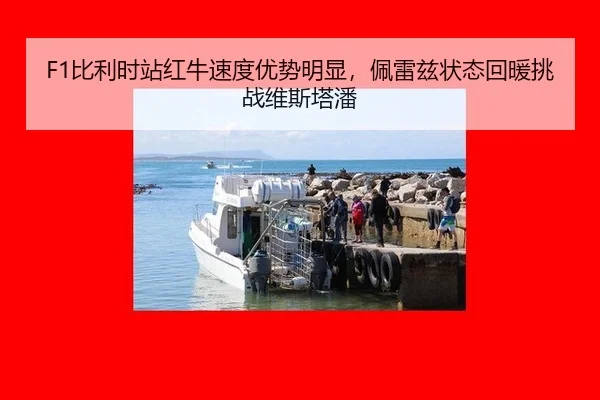 bi-li-shi-zhan-hong-niu-su-du-you-shi-ming-xian-pei-lei-zi-zhuang-tai-hui-nuan-tiao-zhan-wei-si-ta-pan-2-904.jpg