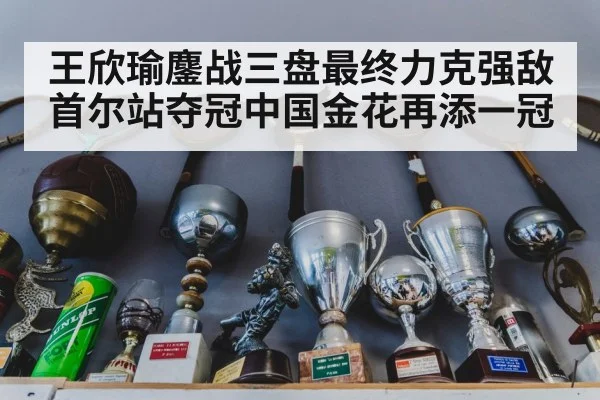 王欣瑜鏖战三盘最终力克强敌首尔站夺冠中国金花再添一冠